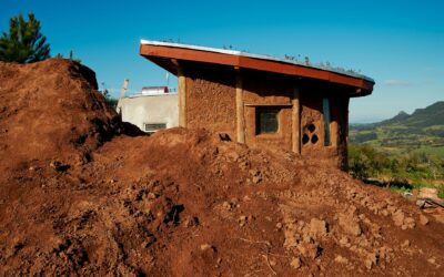 Why Dirt Type Matters for Texas Homes