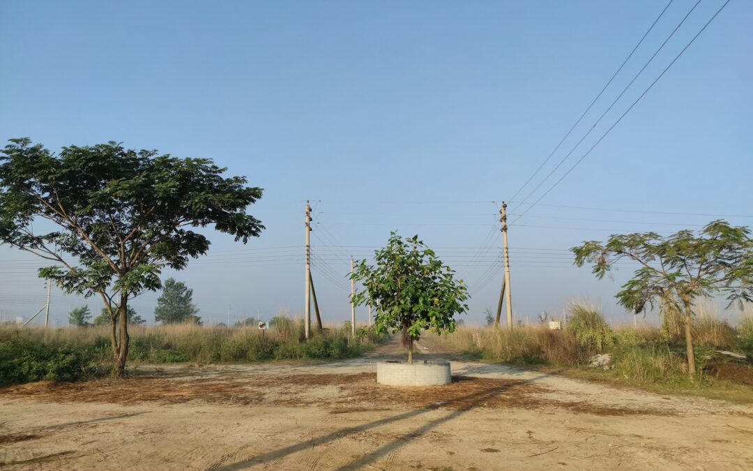 When Your Perfect Land Isn’t Ready for Building